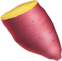 goguma